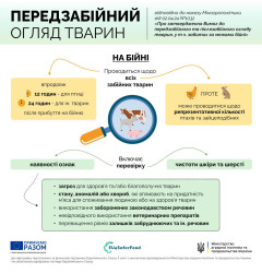 Передзабійний та післязабійний огляд тварин з 1 березня 2027 року: що треба знати операторам боєнь